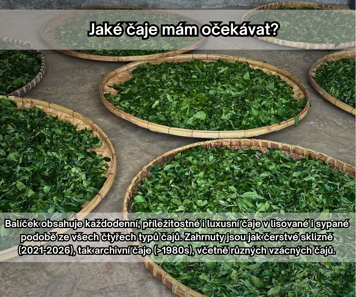 Tea composition - CZ